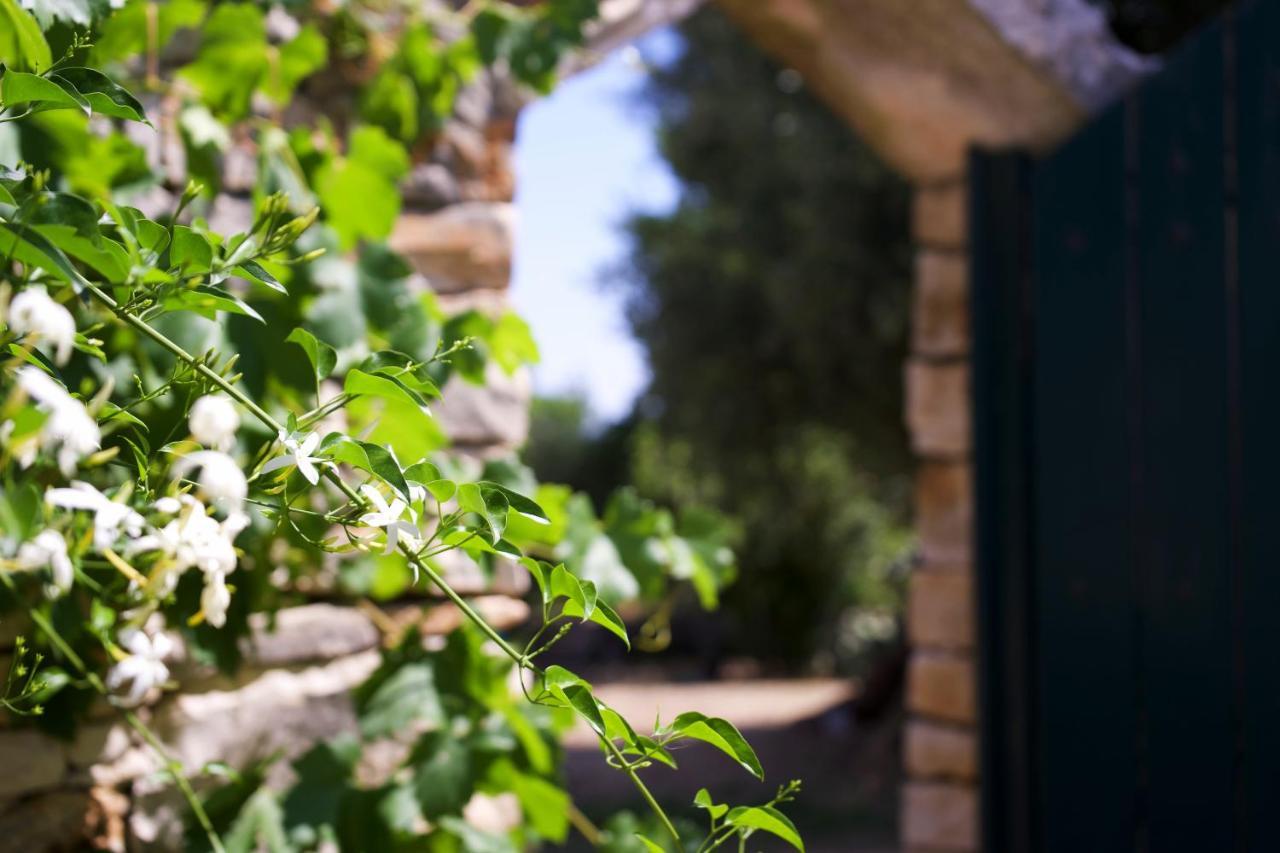 אוסטוני Minicasa Nella Natura, Con Piscina A Due Passi מראה חיצוני תמונה