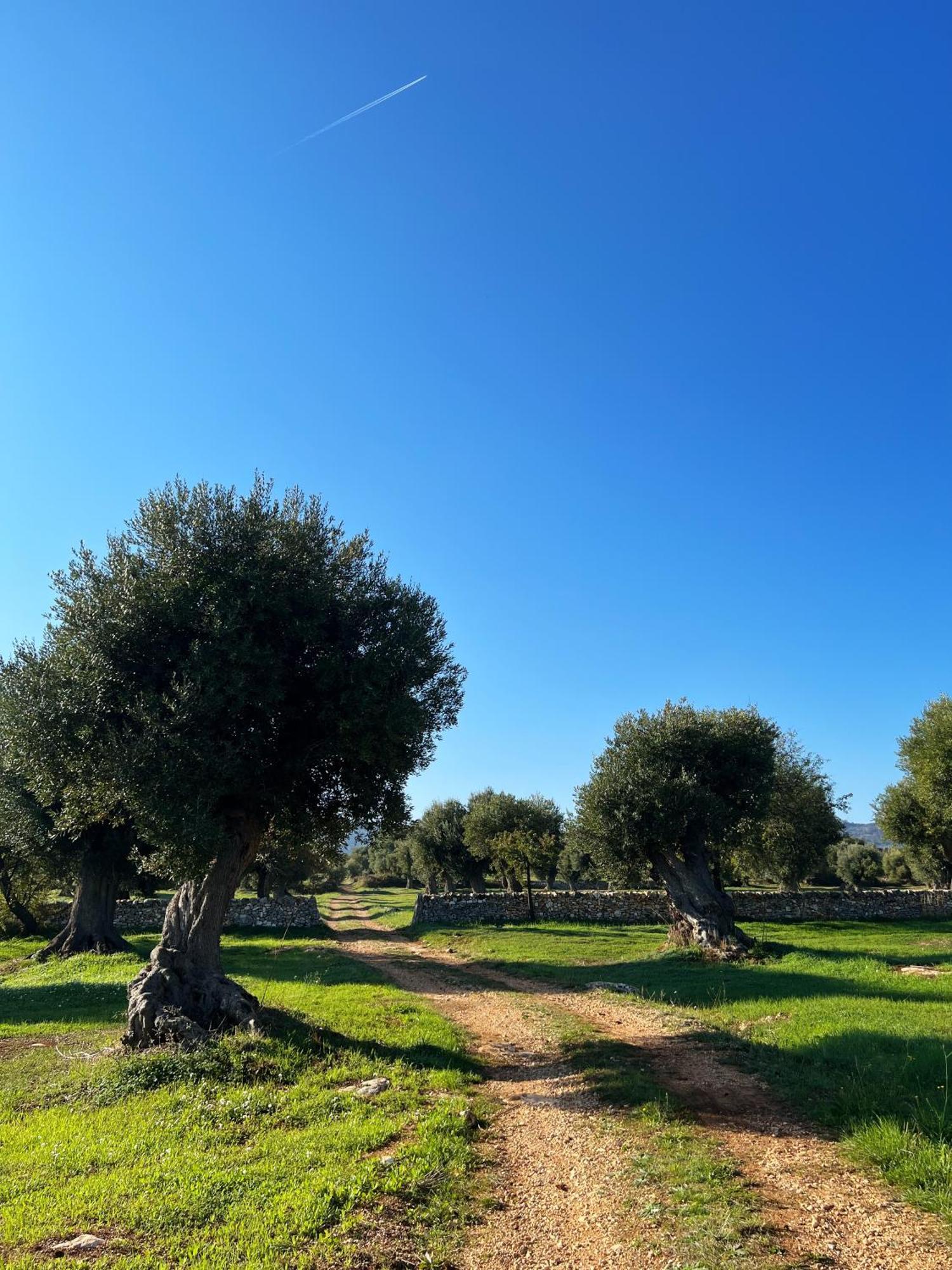 אוסטוני Minicasa Nella Natura, Con Piscina A Due Passi מראה חיצוני תמונה